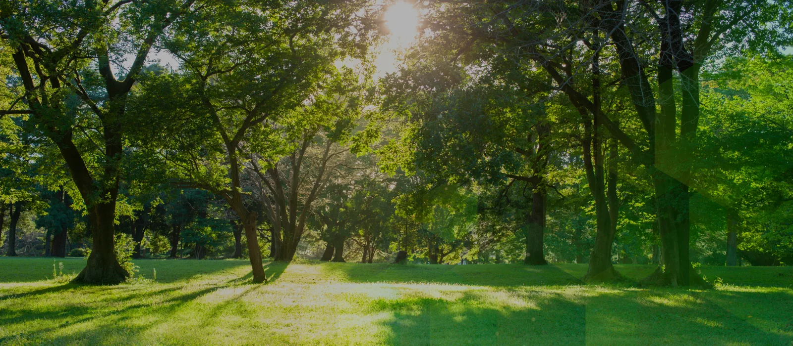 img-slider-2