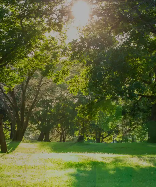 img-slider-2