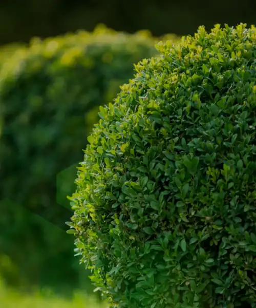 img-slider-3
