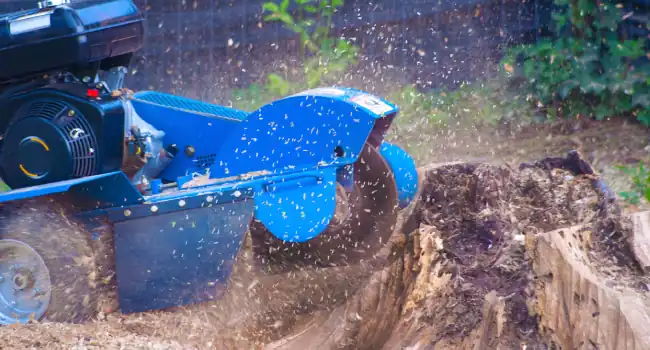 Stump Grinding 