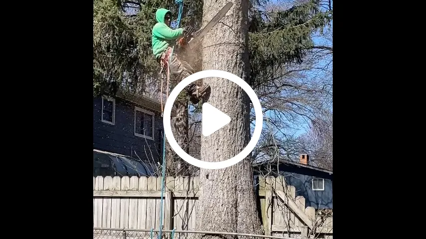 video1
